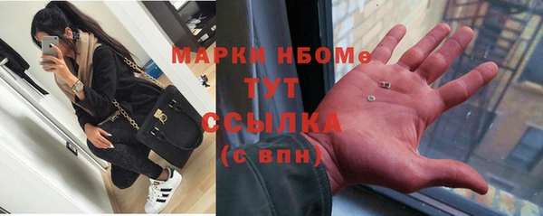 прущие грибы Саяногорск