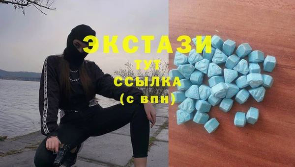 прущие грибы Саяногорск