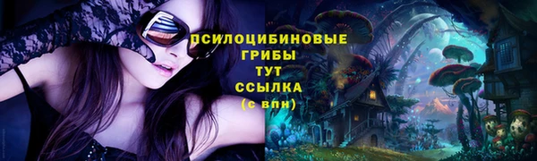 прущий лед Бронницы